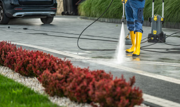 Trusted Campti, LA Pressure washing Experts